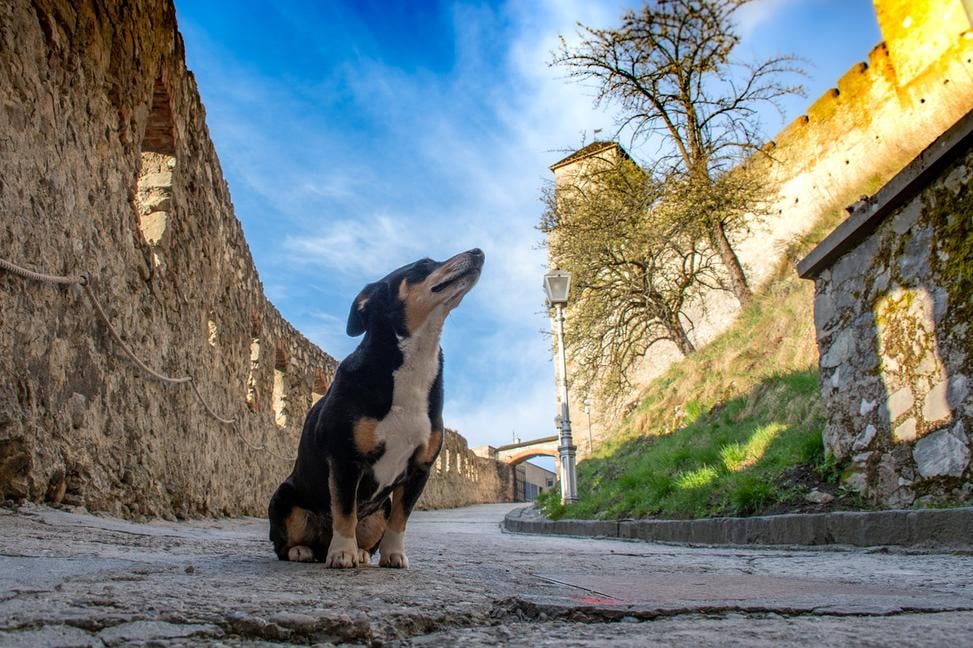 Skutočná hodnota mesta sa meria priestorom medzi budovami
